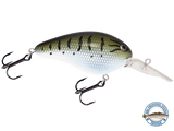 Dive Master 14