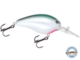 Dive Master 14
