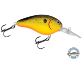 Dive Master 14