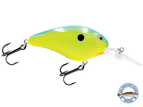 Dive Master 14