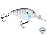 Dive Master 14