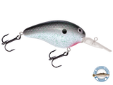 Dive Master 14