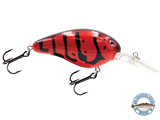 Dive Master 14