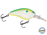 Dive Master 14