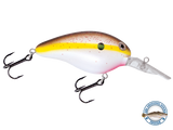 Dive Master 14