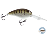 Dive Master 20