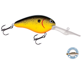 Dive Master 20