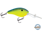 Dive Master 20
