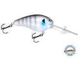 Dive Master 20