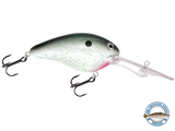 Dive Master 20
