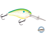 Dive Master 20