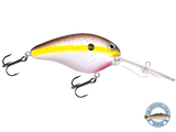 Dive Master 20