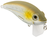 Bull Nose