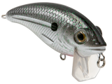 Bull Nose
