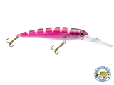 Voyager 15 Walleye