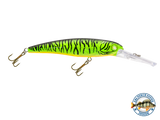 Voyager 15 Walleye