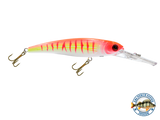Voyager 15 Walleye