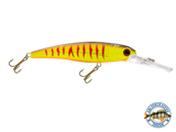 Voyager 15 Walleye