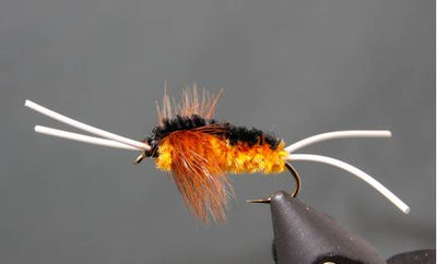 Bitch Creek Stonefly Nymph