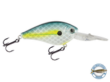 FlatMaster