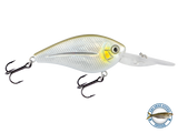 FlatMaster