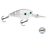FlatMaster