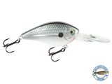 FlatMaster
