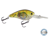 FlatMaster