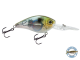 FlatMaster