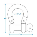 Anchor Shackle Galv 1/2"-1/Cd
