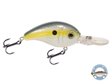 Dive Master Jr 8
