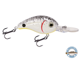 Dive Master Jr 8
