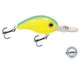 Dive Master Jr 8