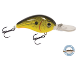 Dive Master Jr 8