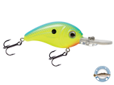 Dive Master Jr 8