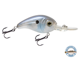 Dive Master Jr 8