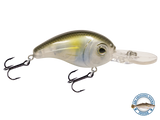 Dive Master Jr 8