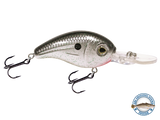Dive Master Jr 8