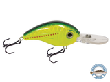Dive Master Jr 8