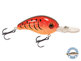 Dive Master Jr 8