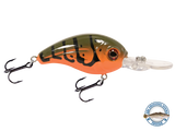 Dive Master Jr 8