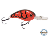 Dive Master Jr 8