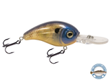 Dive Master Jr 8