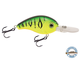 Dive Master Jr 8