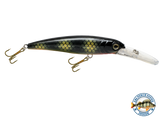 Voyager