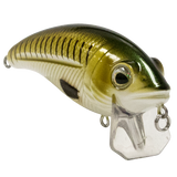 Bull Nose