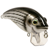 Bull Nose