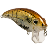 Bull Nose