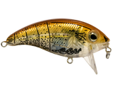 Bull Nose