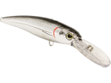 Voyager